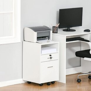 Desk with printer storage store and file cabinet